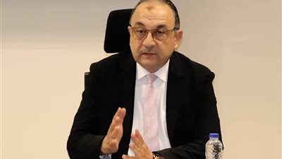 وزير قطاع الأعمال 