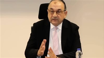 وزير قطاع الأعمال 