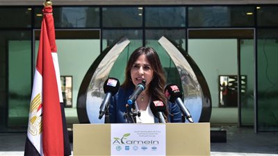 المهندسة راندة المنشاوي، الاسكان 24    